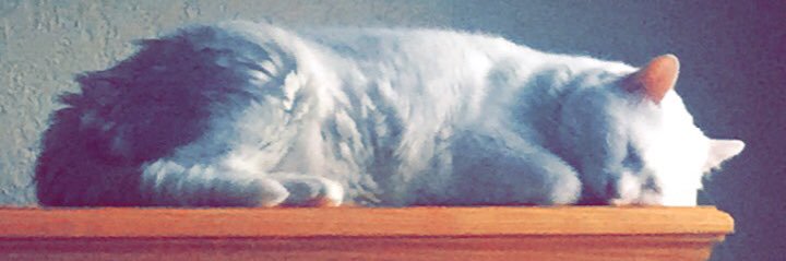 _Chlo_Bow_'s profile banner image