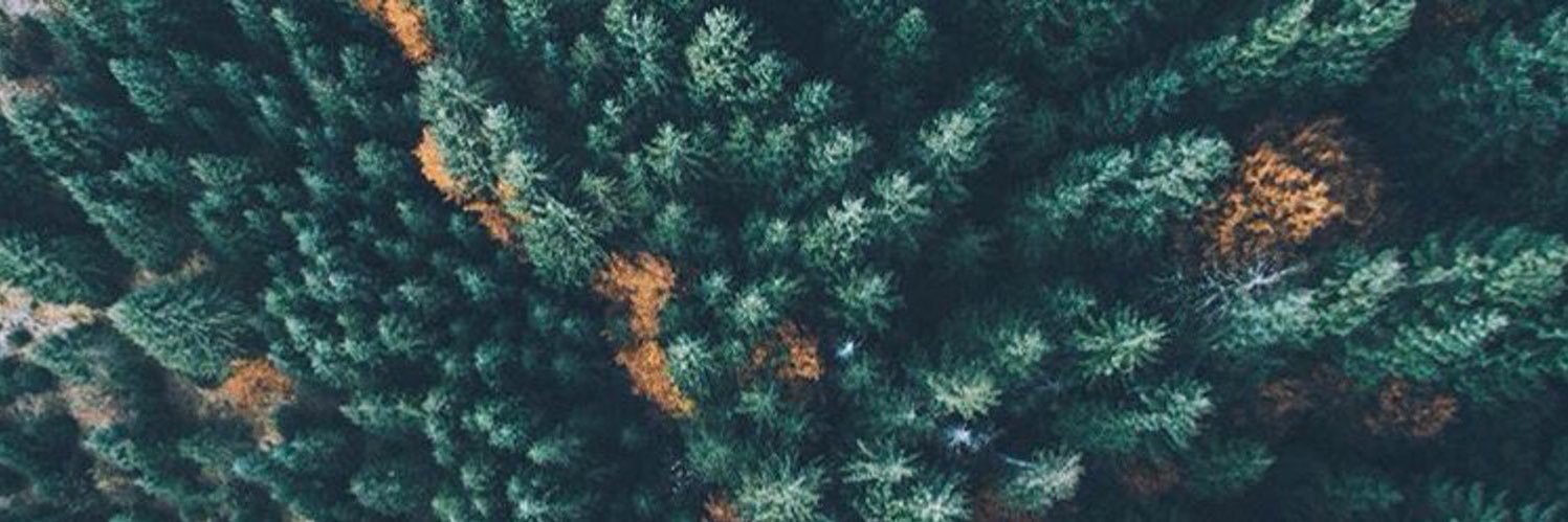 eamon_weber's profile banner image