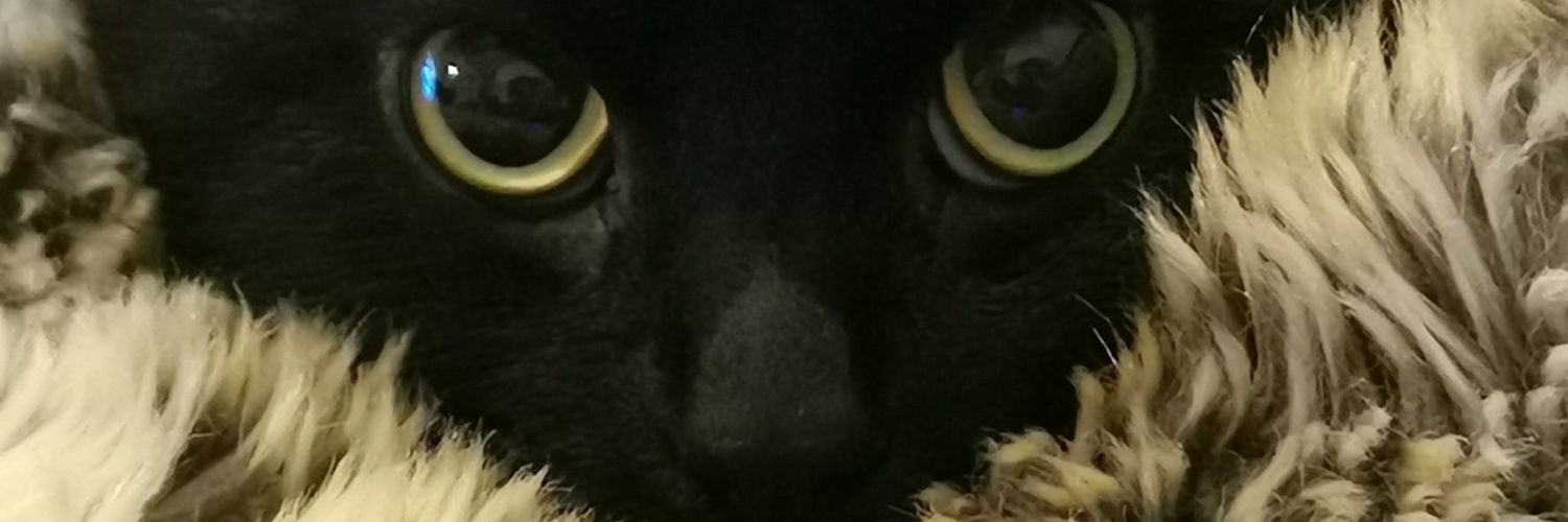 LeonieCharles's profile banner image