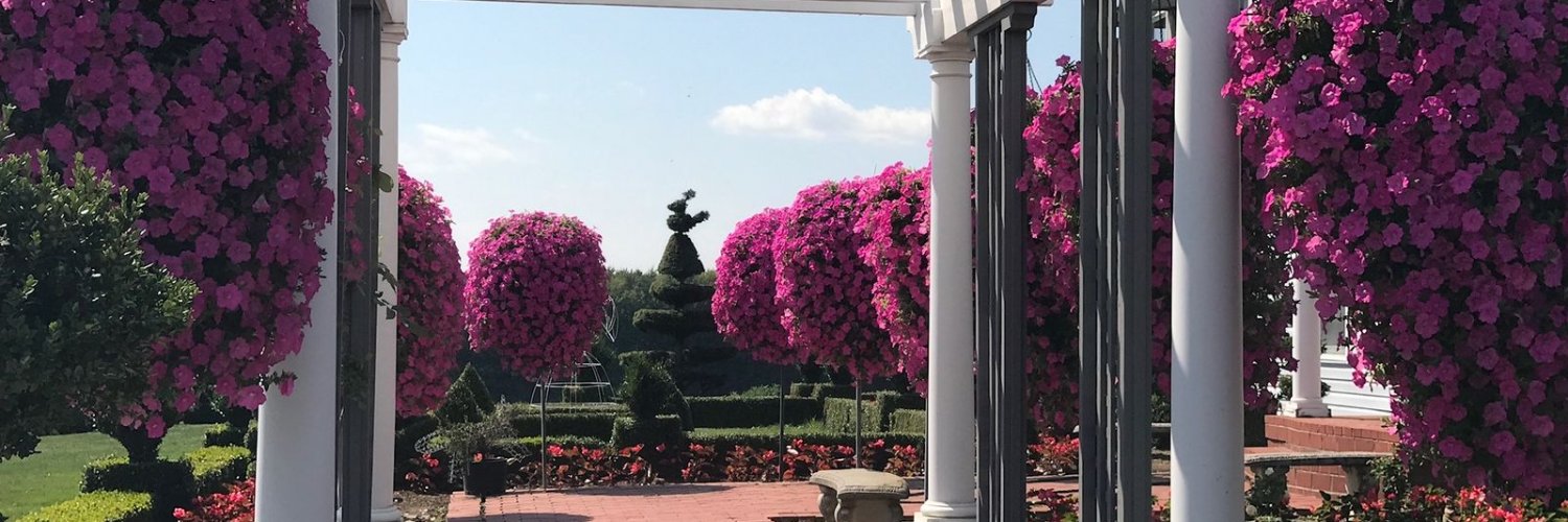 BountifulPlants's profile banner image