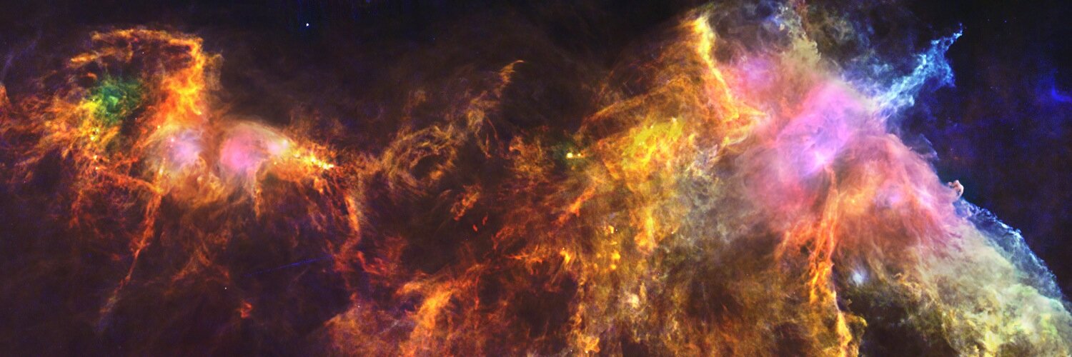 Neasa Hardiman banner