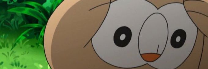 phoenixkingr's profile banner image