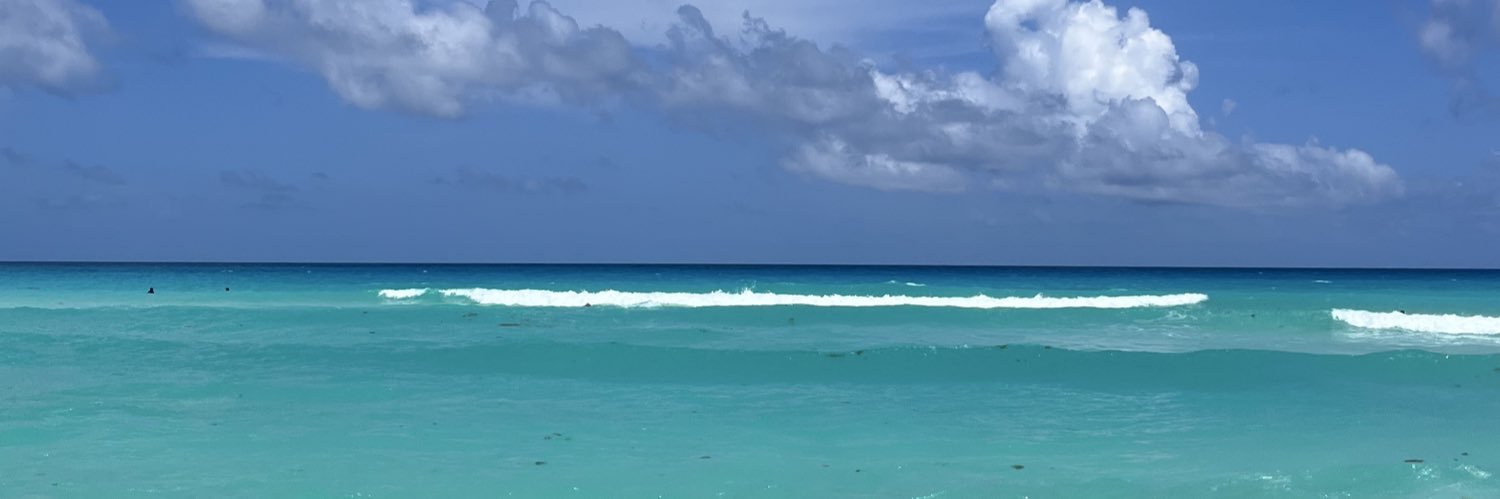 pf_get's profile banner image