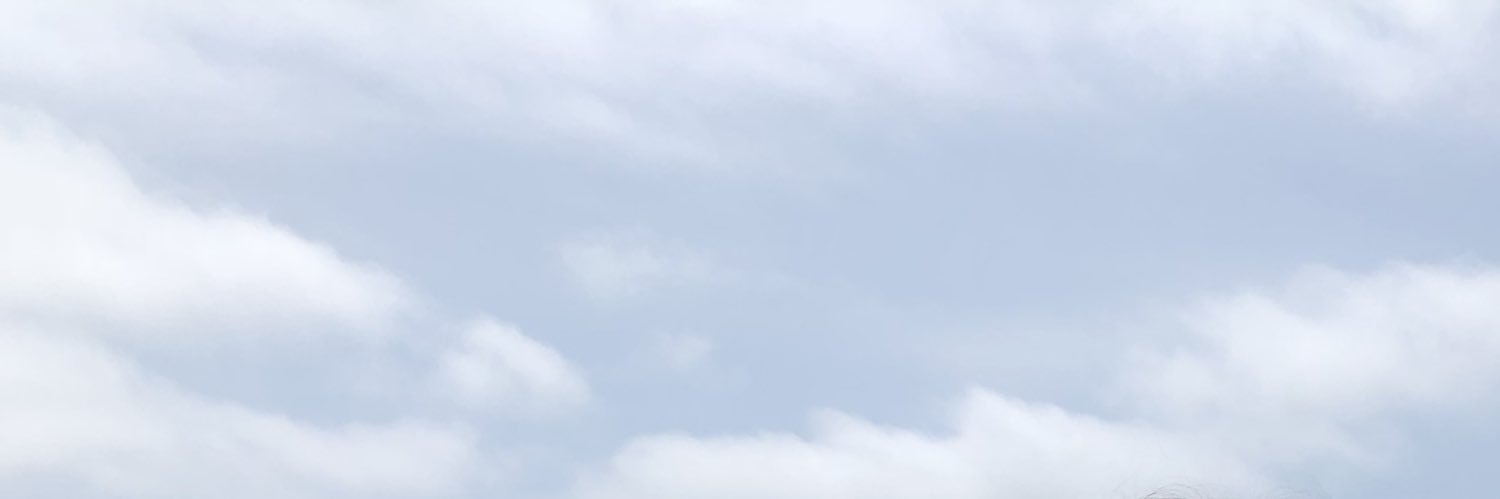 ash_mccormick's profile banner image