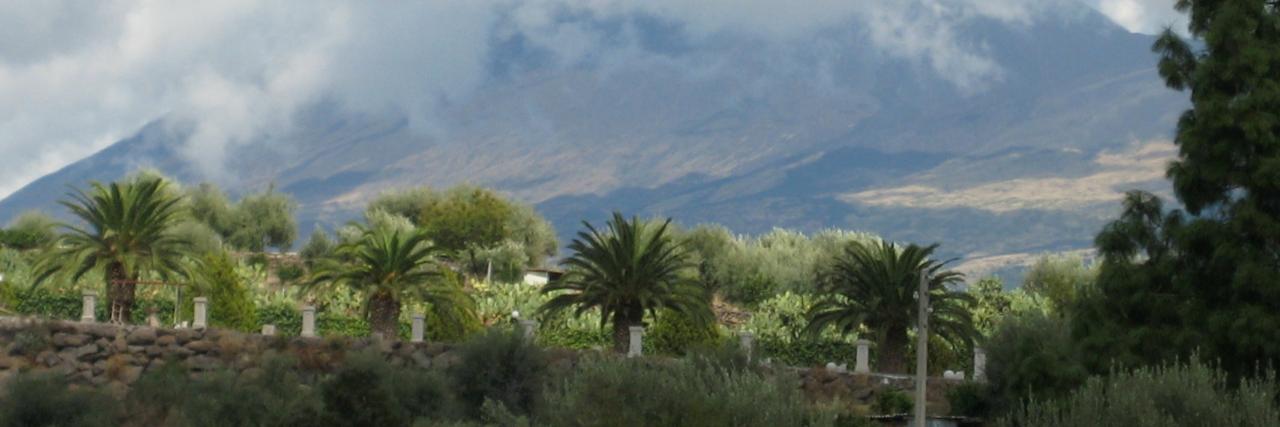 Lindsay Marcott banner