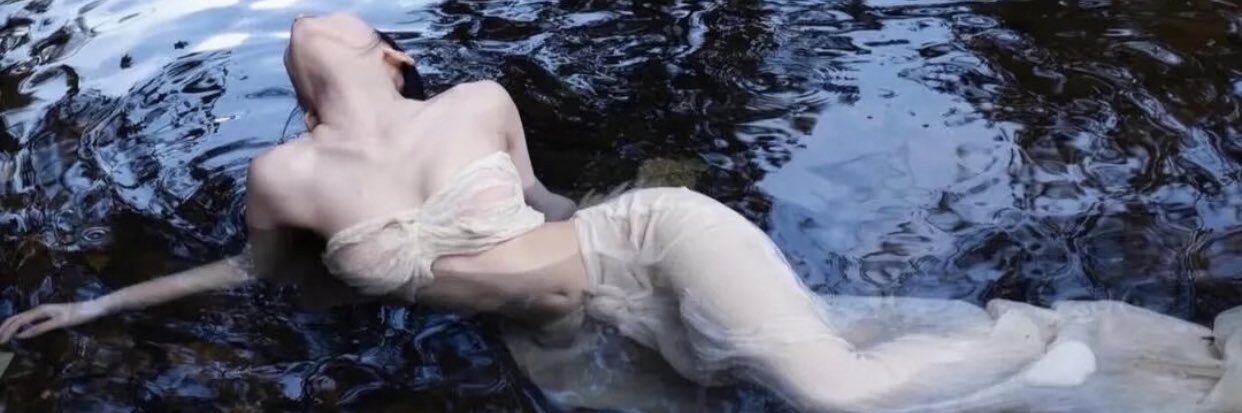 AvaDevine_Lover's profile banner image