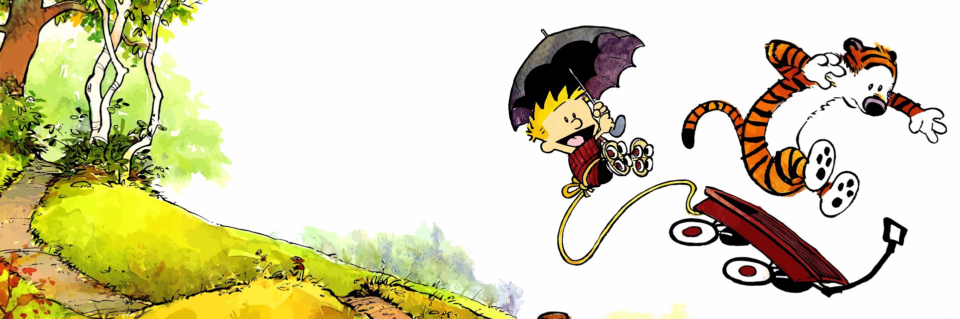 pedrokat's profile banner image