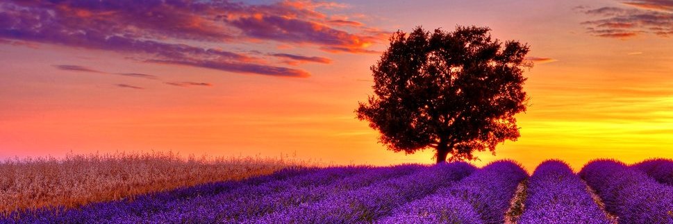 ___atsiz___'s profile banner image