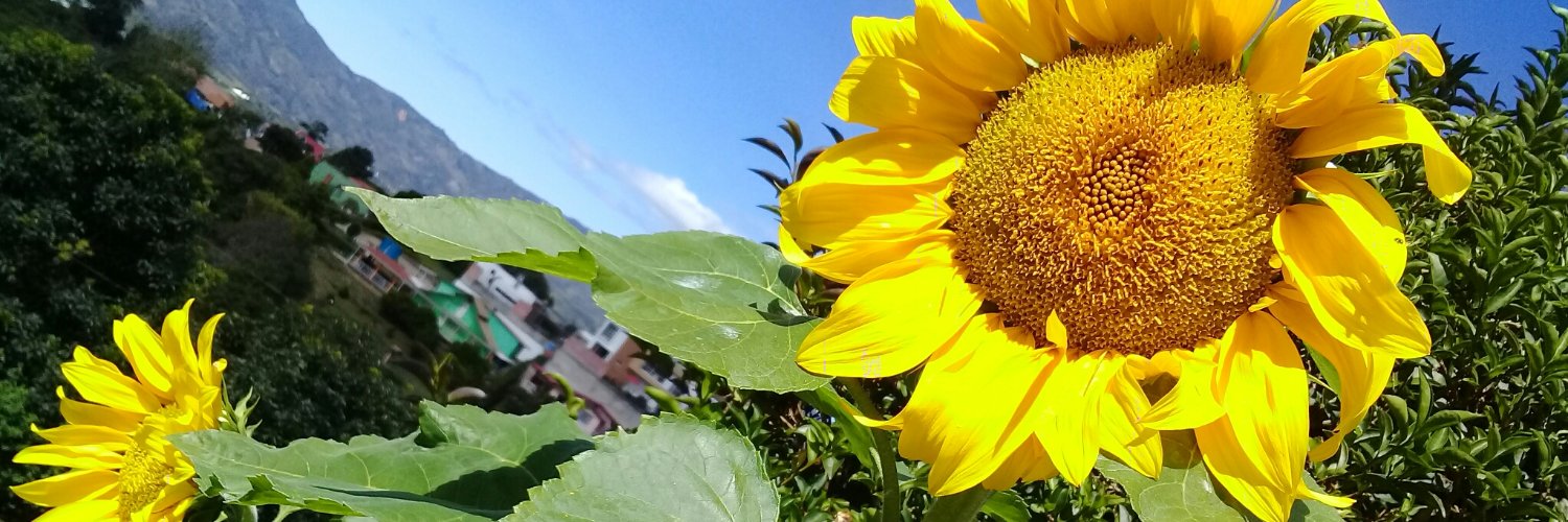 ka_irie's profile banner image