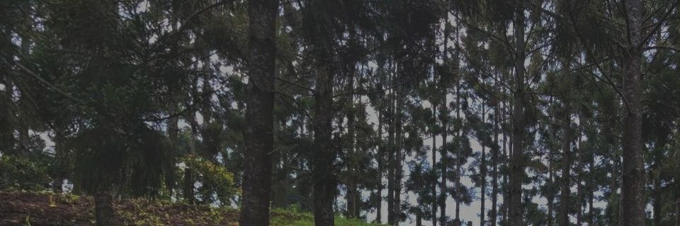 fdhllh_'s profile banner image
