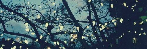 rami_id's profile banner image