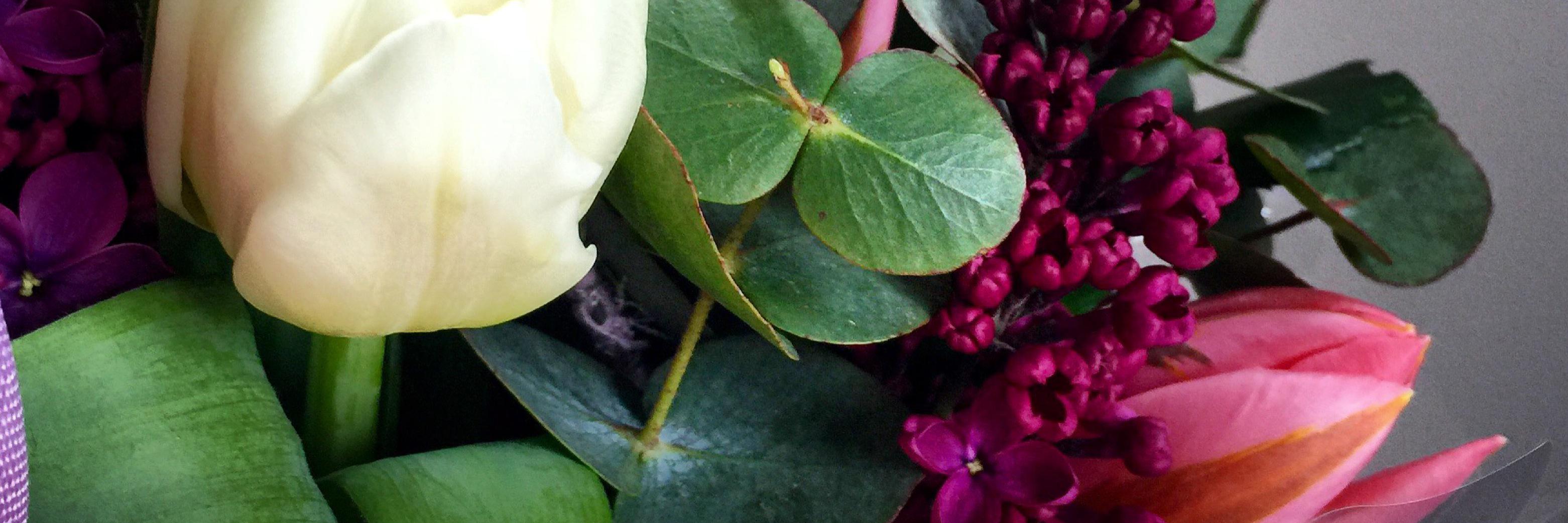 InteriorFloralD's profile banner image