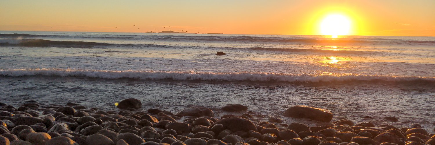 Ernesto Campos banner