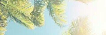 Ccvwx's profile banner image