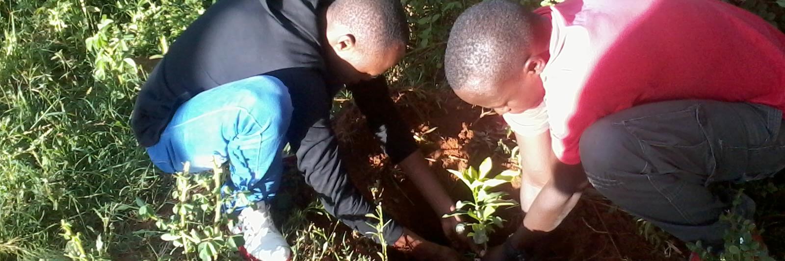 greenmind_kenya's profile banner image
