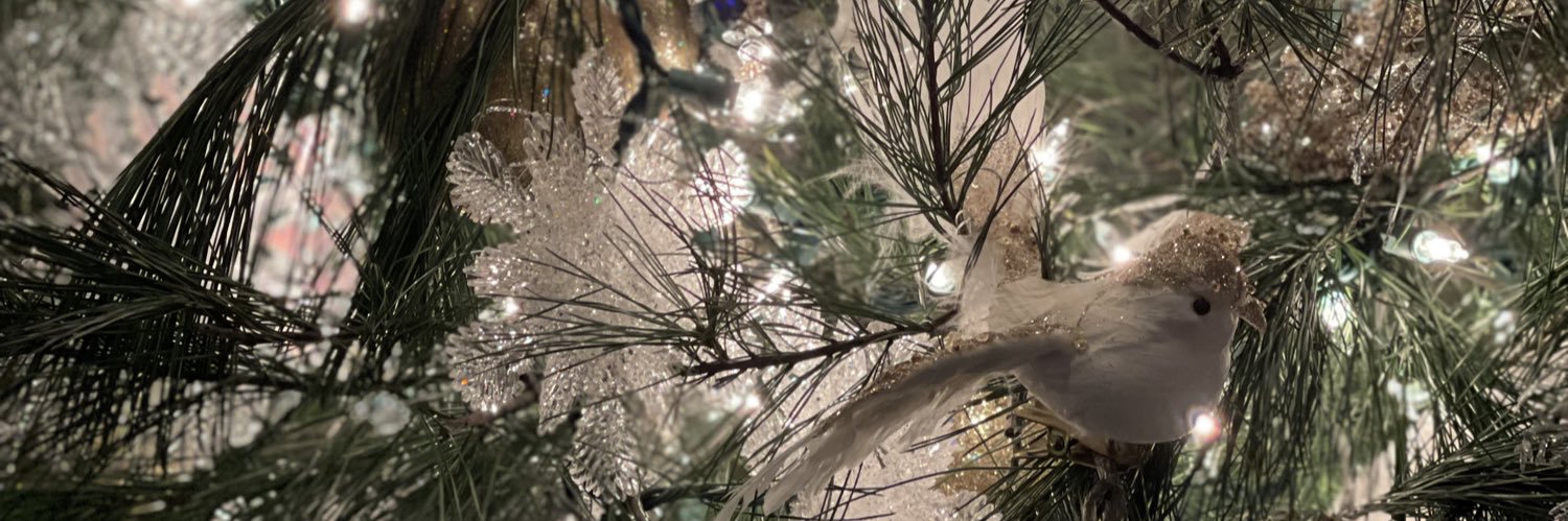 jaimiehanson's profile banner image