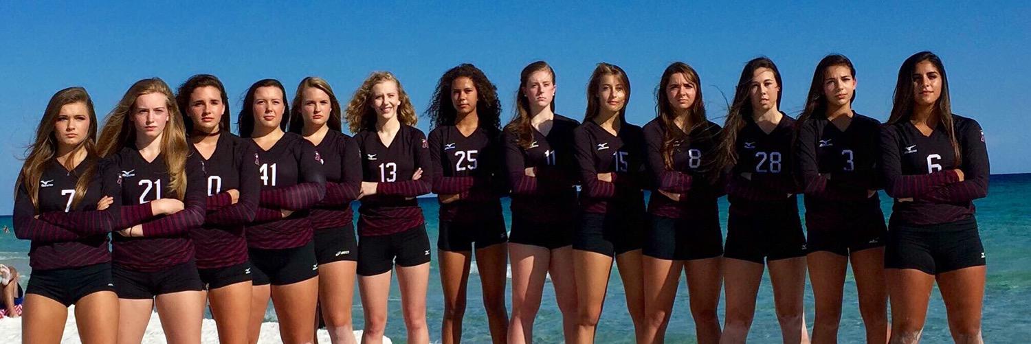 NHSvball2016's profile banner image