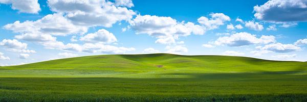 CoachRodJensen Profile Banner