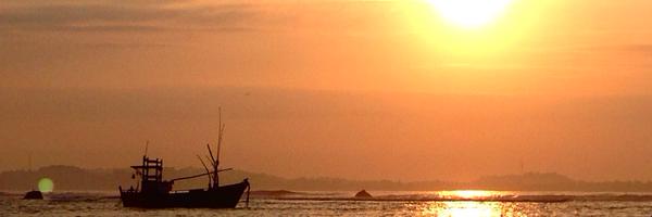 ashadevos Profile Banner