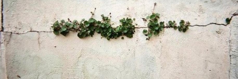 msknbyks's profile banner image