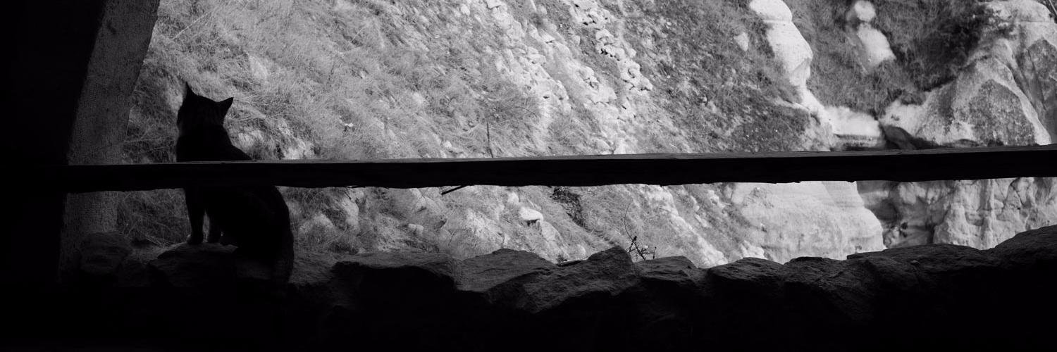 chloecwc's profile banner image