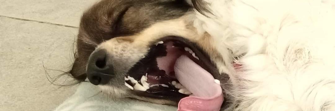 Mark Ed banner