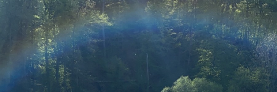 lisanne_c's profile banner image