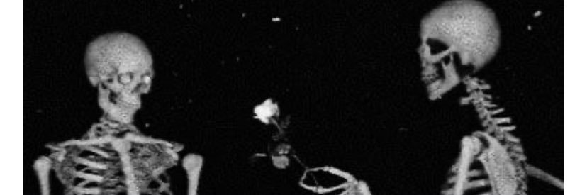 okayneverminddd's profile banner image