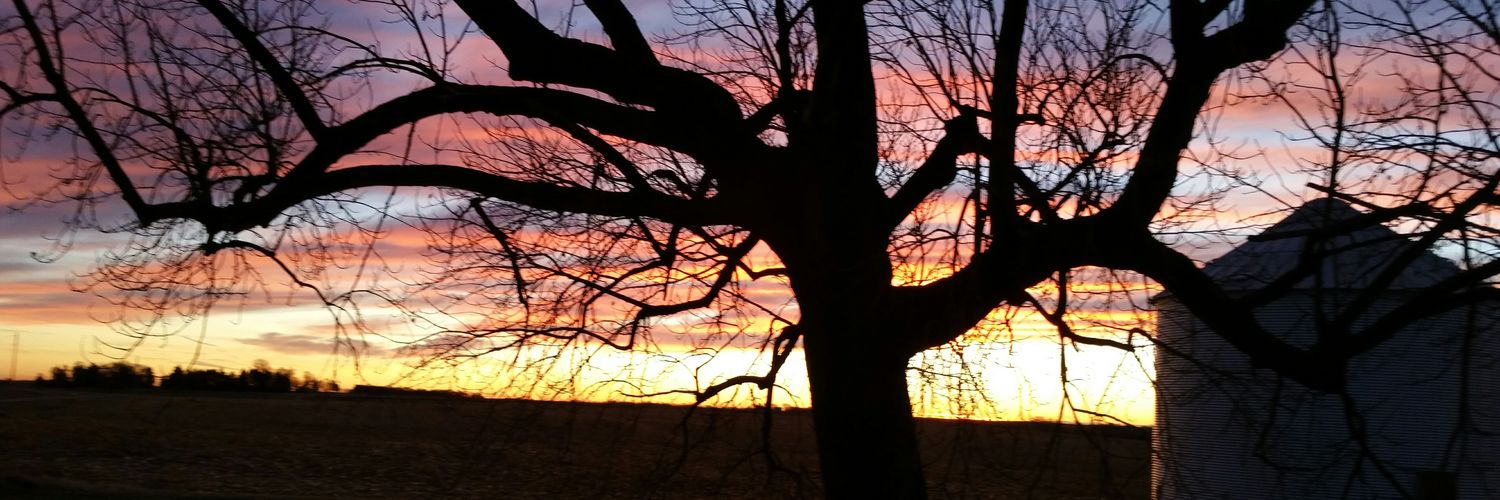 Dldietl's profile banner image