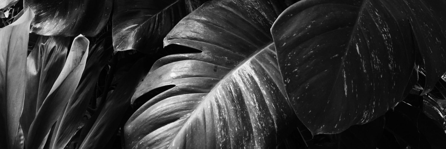 L4ND's profile banner image