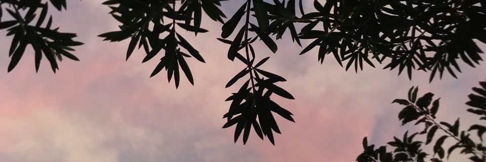Witte_Wolken's profile banner image