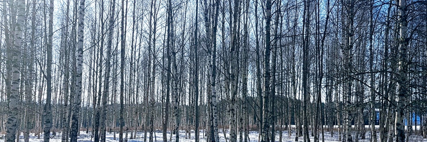 Trond Ingebretsen banner