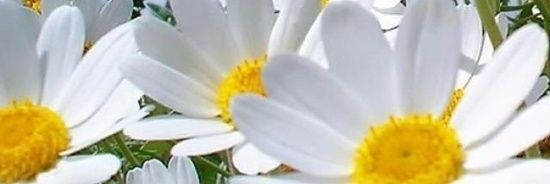 757_K_30's profile banner image