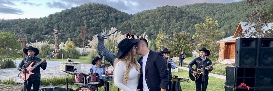 StephanieCalvo banner