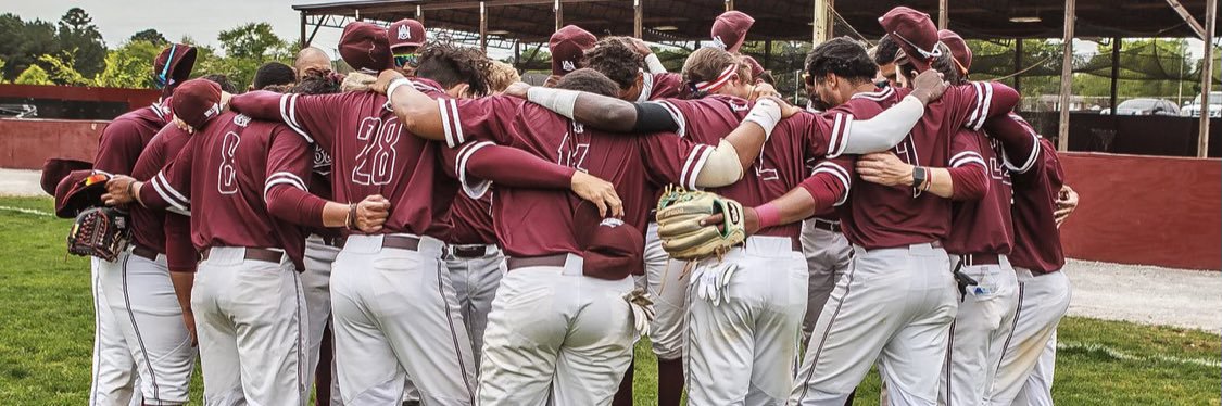 AAMU Baseball banner