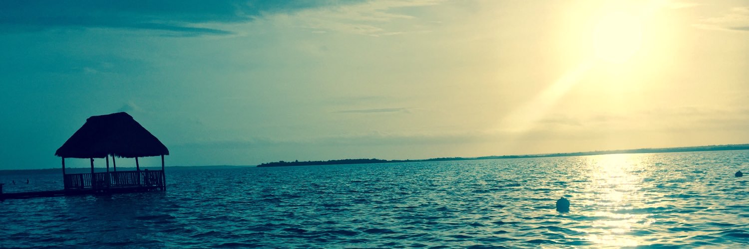 nosoyyo737's profile banner image