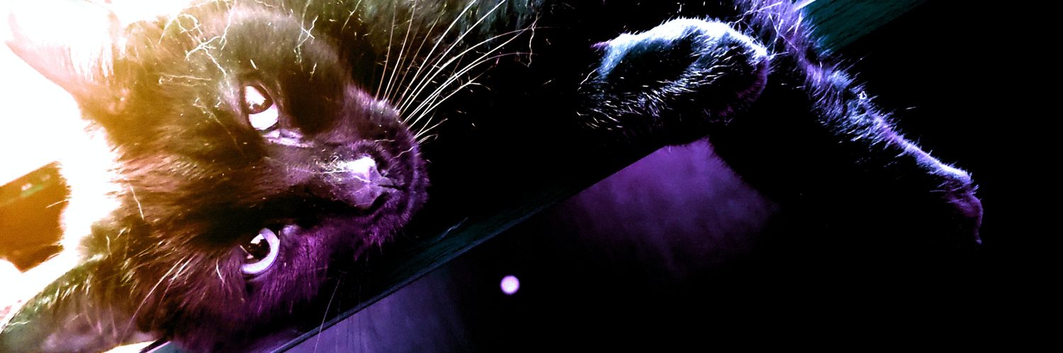 AnoeticTV's profile banner image