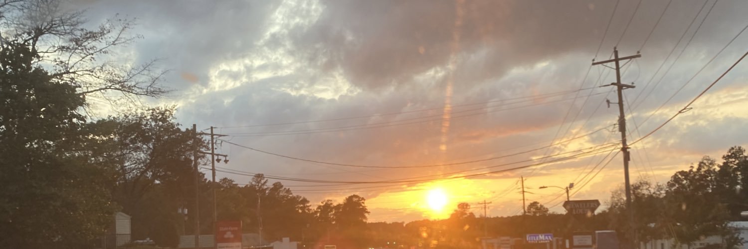 NbourneM's profile banner image
