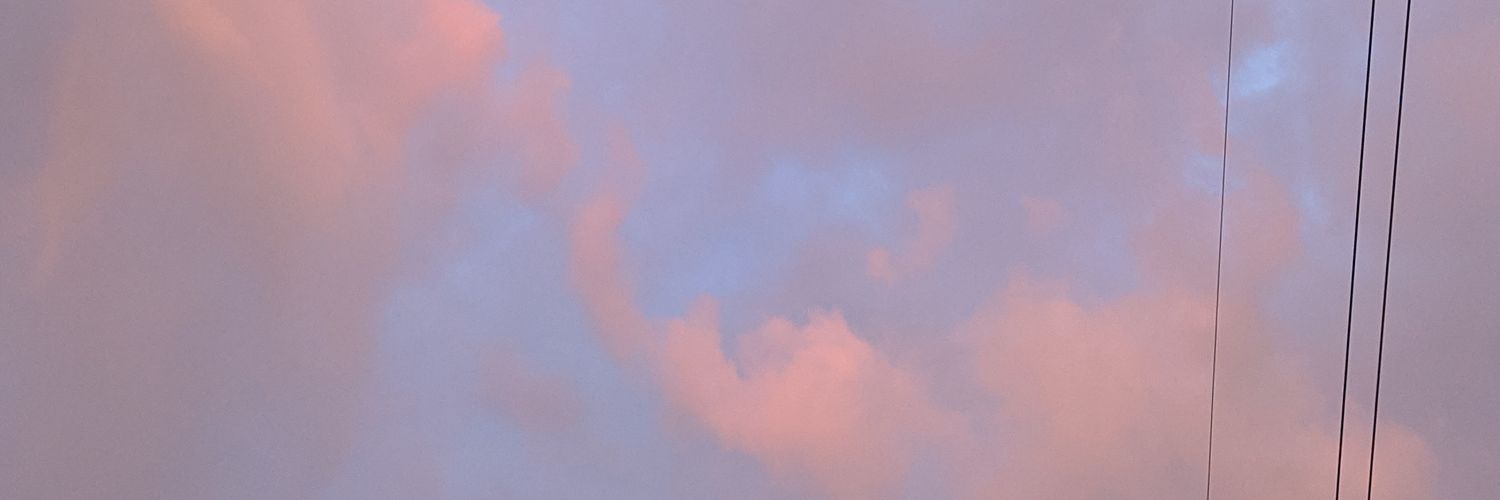 sheeeeeeelllll's profile banner image