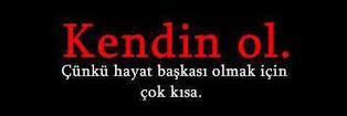 TurkDominant's profile banner image