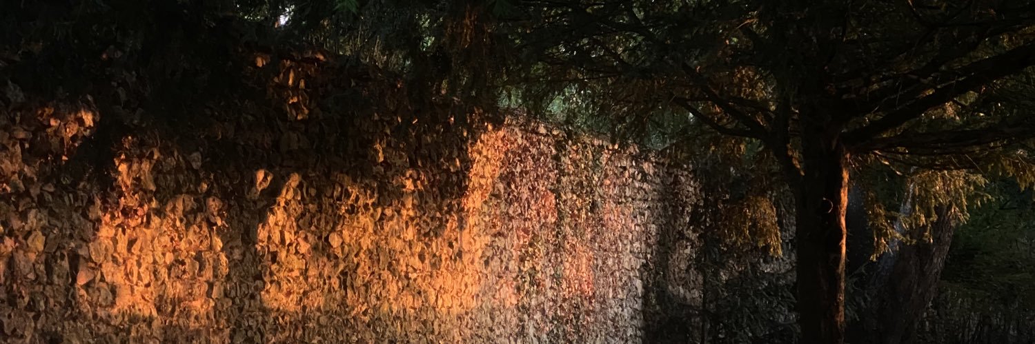 2oto3's profile banner image