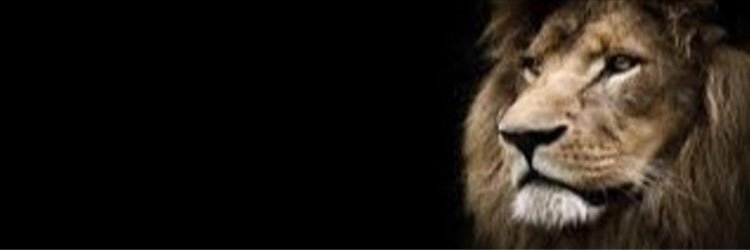 Ian_Begg3's profile banner image