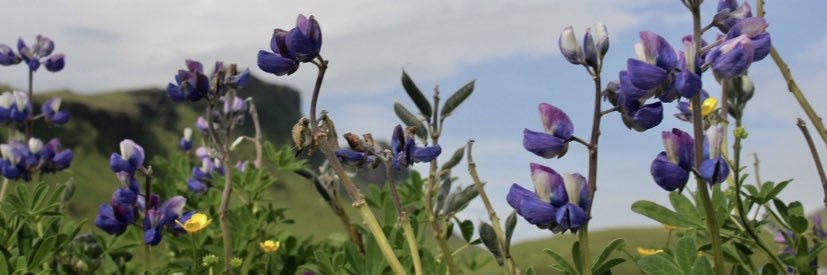 KindieFX's profile banner image
