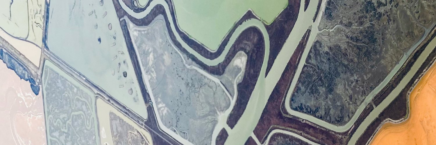 Wungki Park, MD MS banner