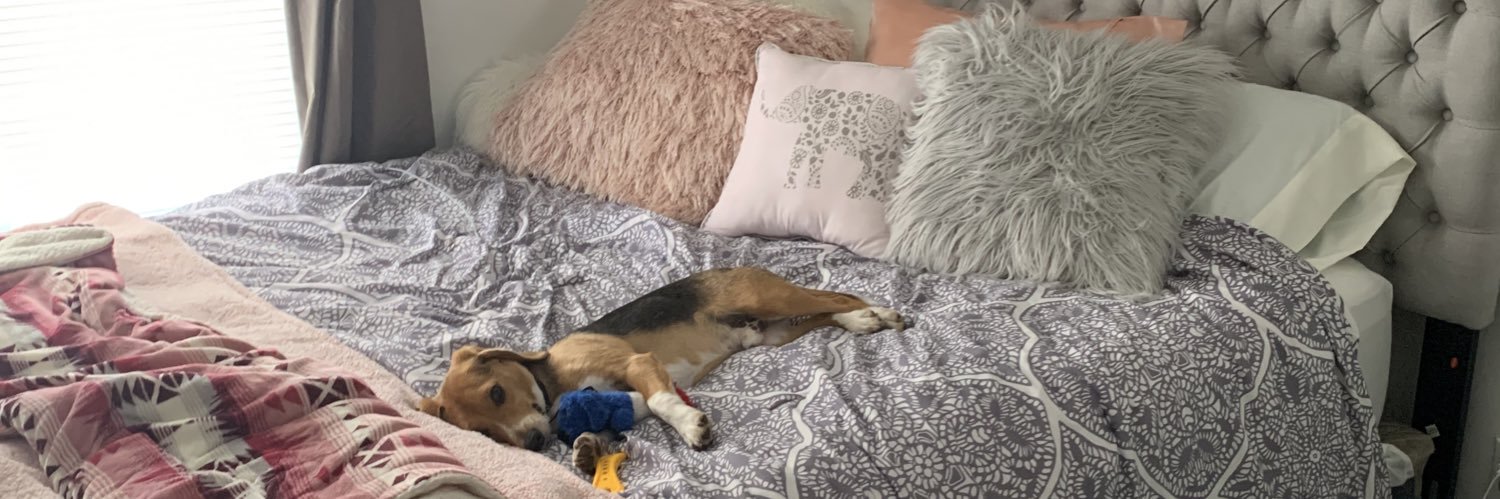 lillyyy22's profile banner image