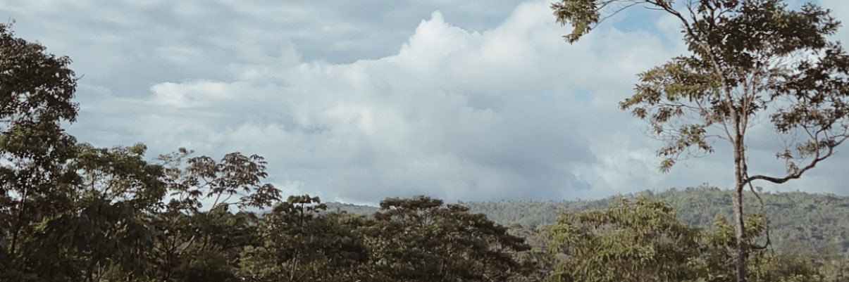 laniese_penner's profile banner image