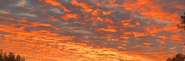 loveteach87 Profile Banner