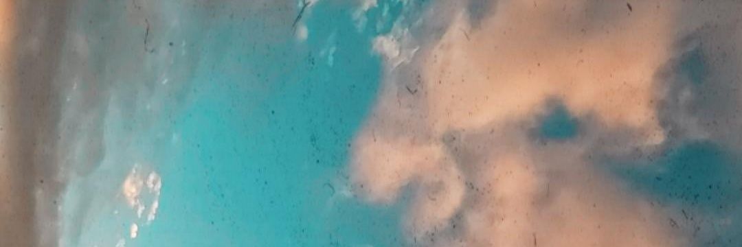 Trashtea29's profile banner image