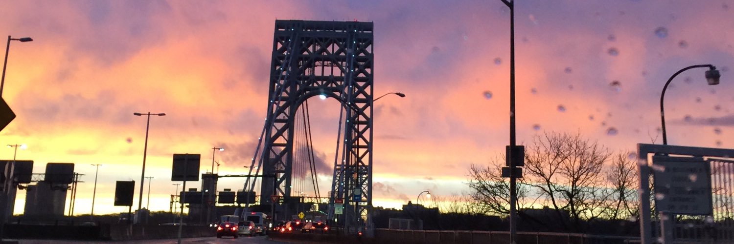 Parisa Tehranifar banner