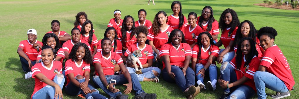 ASA_VSU's profile banner image